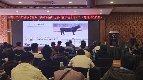畜牧兽医科技信息:推动畜牧业高质量发展