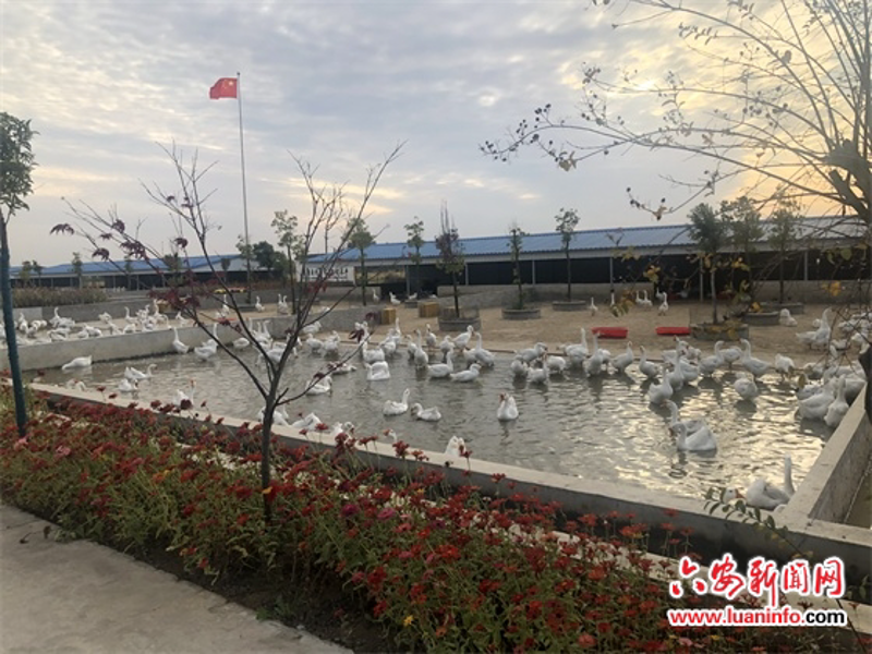 检验检疫技术中心是干嘛的?让我们一起揭开它的神秘面纱。