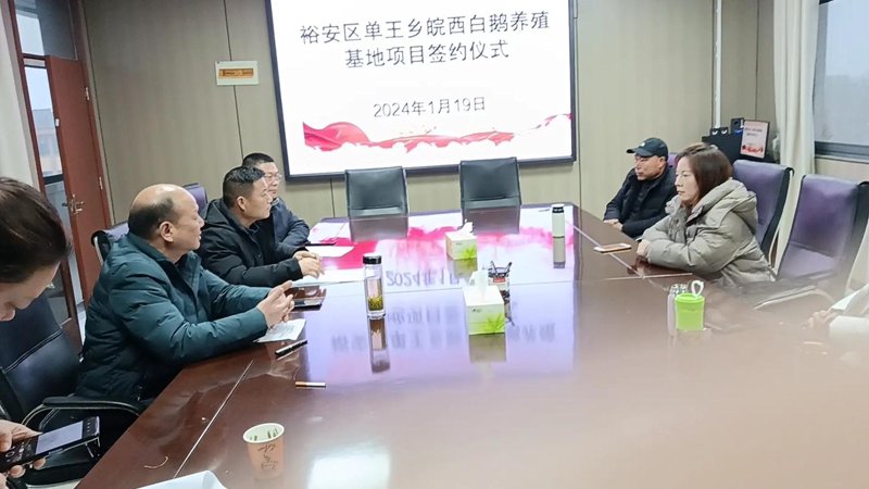 畜牧兽医科技信息:解读最新趋势与发展方向